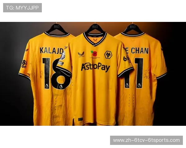 英超球员佩戴红花致敬仪式背后意义 英超球员佩戴红花致敬仪式背后意义