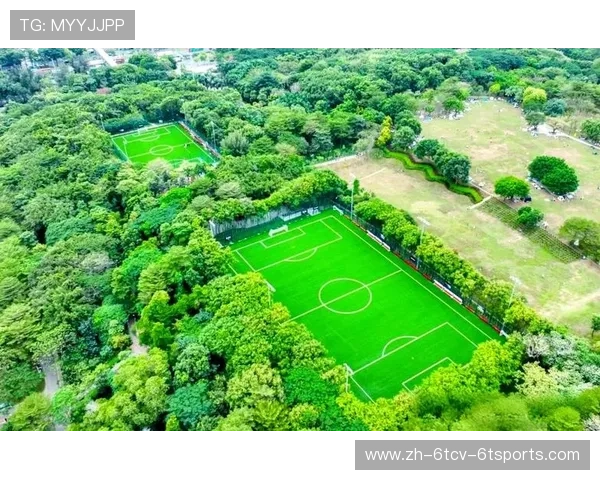 足球赛事的场馆建设标准与环保技术应用