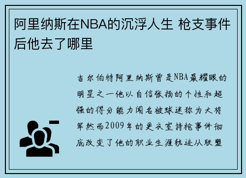 阿里纳斯在NBA的沉浮人生 枪支事件后他去了哪里
